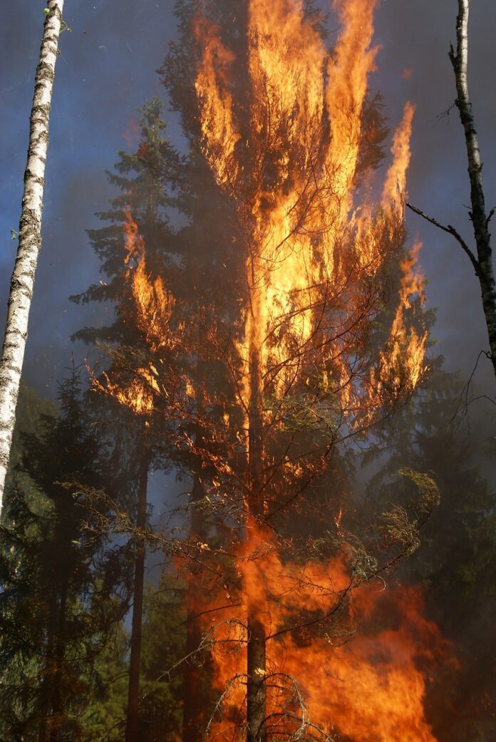 El incendio forestal en el Iztaccíhuatl, Estado de México.