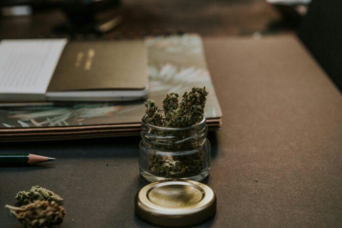 Sera Legal el consumo de cannabis en Alemania.