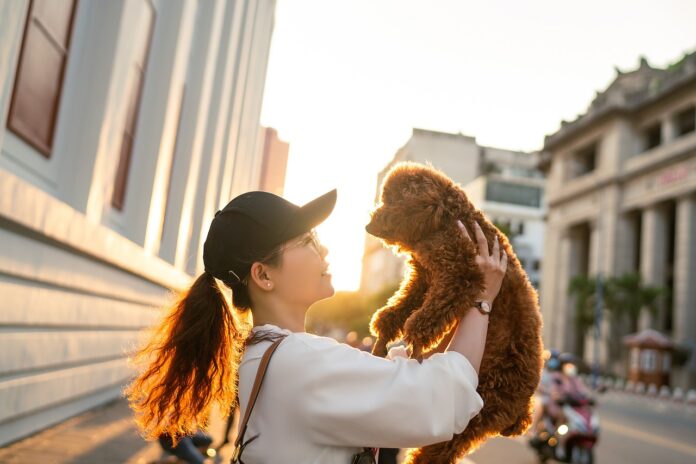 los perros pueden asociar palabras específicas.